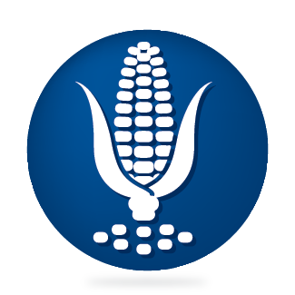 Крупа кукурузная